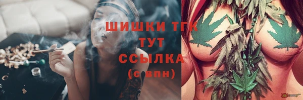 MESCALINE Аркадак