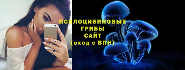 MESCALINE Аркадак