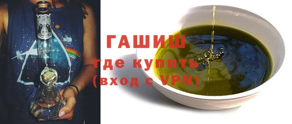 хмурый Арсеньев