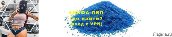 гашик Болотное