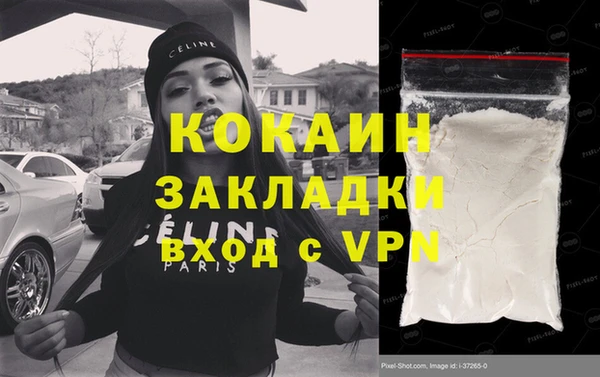 хмурый Арсеньев