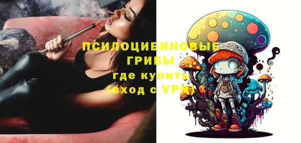 MESCALINE Аркадак
