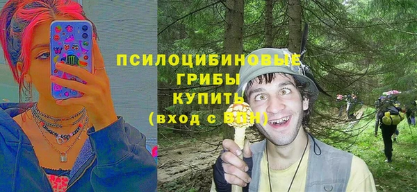 MESCALINE Аркадак